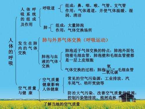 有氧呼吸科技知识竞赛题库（有氧呼吸知识网络图）-图1