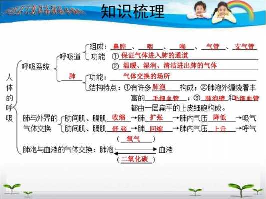 有氧呼吸科技知识竞赛题库（有氧呼吸知识网络图）-图2