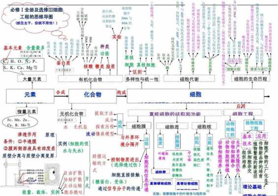 生物科技知识图谱大全高中（生物科技小知识）-图1