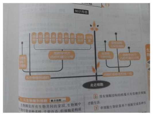 生物科技知识图谱大全高中（生物科技小知识）-图3