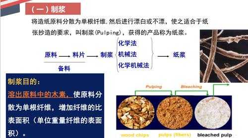 造纸涂料科技知识大全集（造纸的涂料组成主要包括）-图3