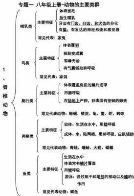 小学生生物科技知识点（小学生物知识大全）-图3