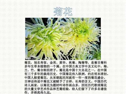 了解各种花的科技知识（花类科普）-图1