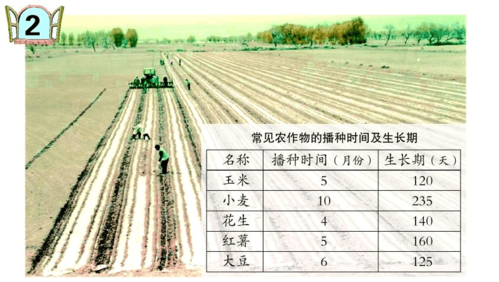 熟悉粮食种植科技知识教案（粮食种植到收获过程）-图2