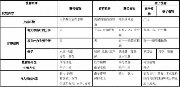 大自然科技知识点汇总表的简单介绍-图2