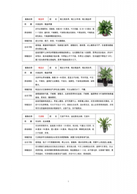 盆栽科技知识（盆栽栽培技术）-图1