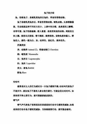 和兔子相关的科技知识（和兔子相关的科技知识资料）-图3