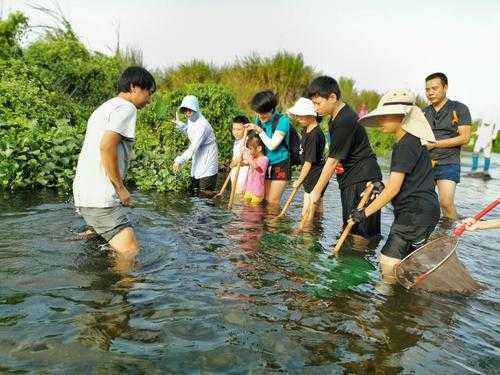 河里抓鱼的科技知识有哪些（小河里捉鱼）-图2