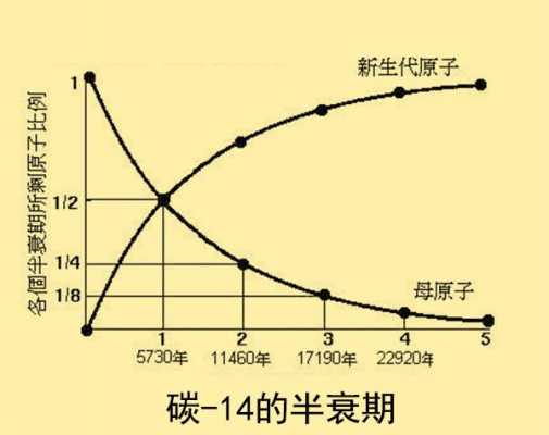 科技知识半衰期（科技快速发展,知识的“半衰期”越来越短,需要大学生）-图2