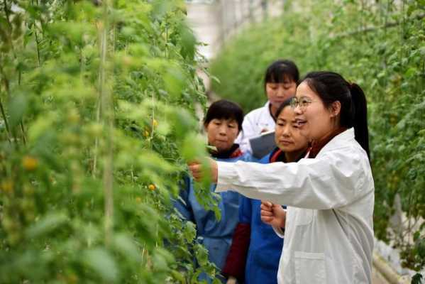 种植科技知识视频（种植科技知识视频讲解）-图3