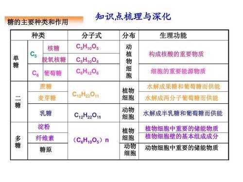 关于糖类的科技知识（关于糖类的问题及答案）-图1