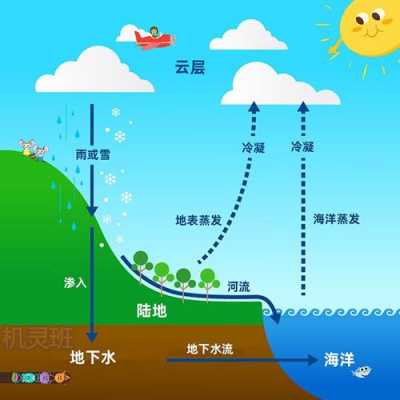 水循环属于科技知识吗（水循环的领域）-图1