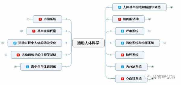 体育科技知识包括什么科目（科技体育分类）-图3