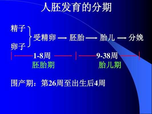 培养胎儿的科技知识（胎儿培育技术）-图2