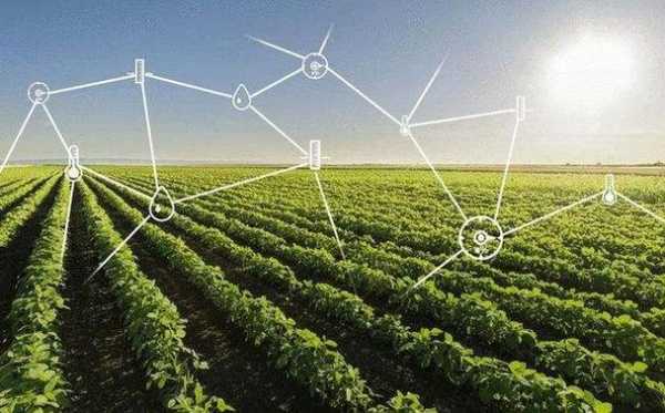 种植科技知识图片卡通图（科学种植技术）-图3