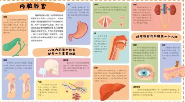 人体科技知识类素材图片（人体科普知识内容大全）-图3