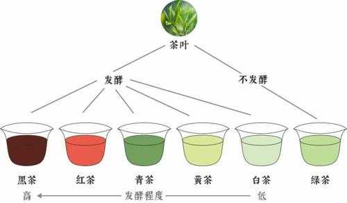 关于茶叶的高科技知识点（关于茶叶的高科技知识点有哪些）-图2