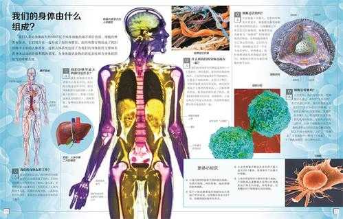 关于人体科技知识（关于人体的科普）-图3