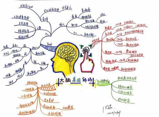 人脑结构科技知识点汇总（人脑结构功能思维导图）-图3