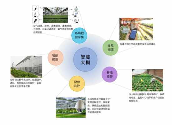 智慧农业科技知识（科技农业智慧农业）-图2