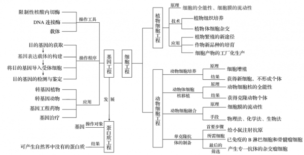 现代生物科技知识图（现代生物科技知识图谱）-图2