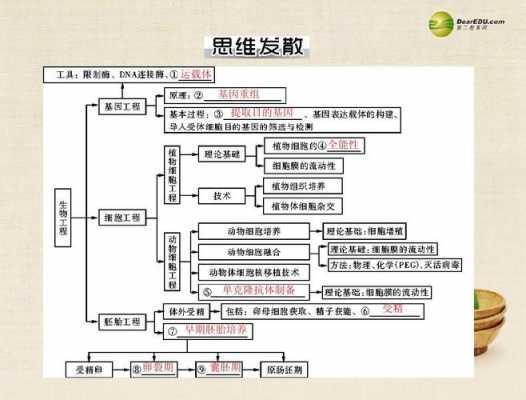 现代生物科技知识图（现代生物科技知识图谱）-图1