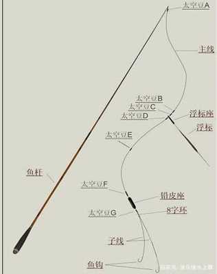 钓鱼必备科技知识大全图解（钓鱼基本知识视频教程）-图2