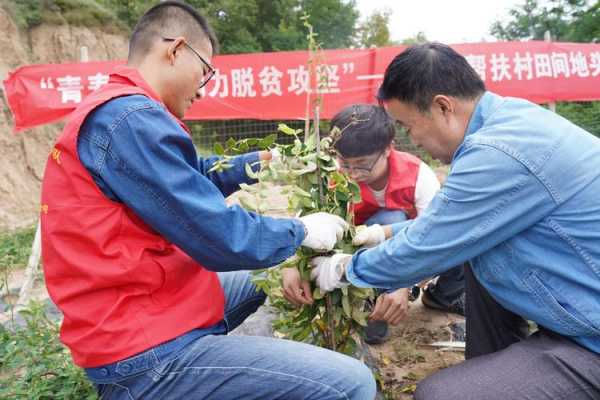 传播科技知识助力脱贫攻坚（科技助力脱贫攻坚案例点评）-图2