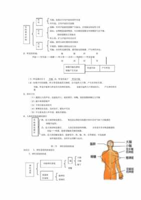 人体的生命科技知识教案（人体的生命科技知识教案大班）-图3