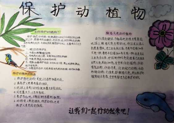 动物和植物科技知识手抄报（动物与植物手抄报简单又漂亮）-图2