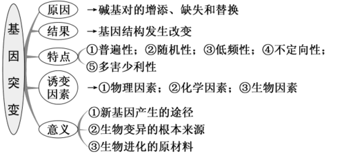 变异体的科技知识点总结（变异体图片）-图1