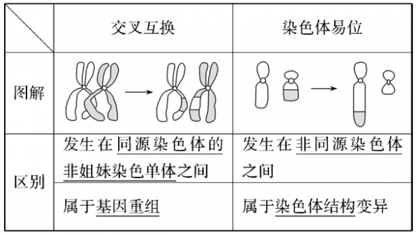 变异体的科技知识点总结（变异体图片）-图3