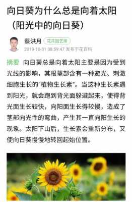 科技知识向日葵的向阳性（向日葵向阳生长是哪种生命现象）-图3