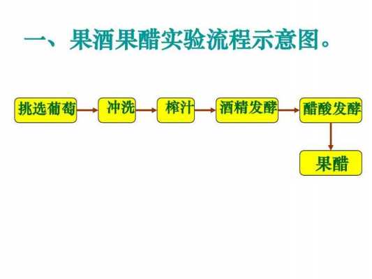 果酒制作科技知识点归纳（果酒的制作实验原理）-图1