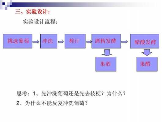 果酒制作科技知识点归纳（果酒的制作实验原理）-图2