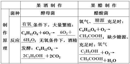 果酒制作科技知识点归纳（果酒的制作实验原理）-图3