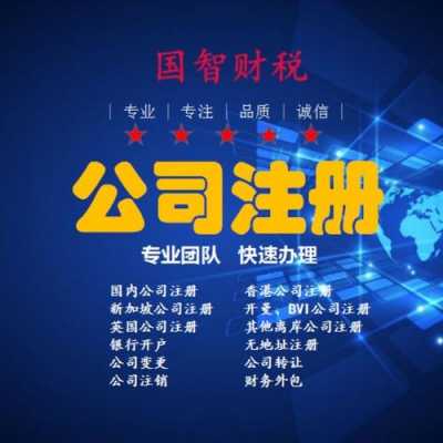 财税科技知识产权公司有哪些（财税类公司）-图2