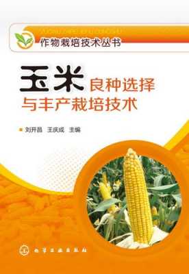 玉米种植科技知识大全书籍（种玉米专业知识）-图2