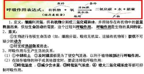 有氧呼吸科技知识点汇总（有氧呼吸考点归纳）-图1