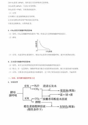 有氧呼吸科技知识点汇总（有氧呼吸考点归纳）-图2