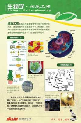 关于生物的科技知识（关于生物的科普知识）-图2