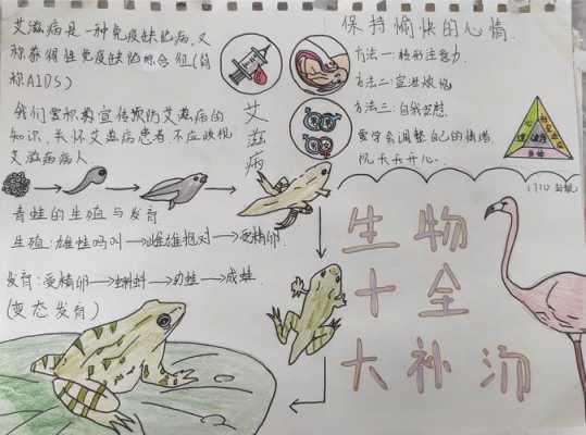 小学生生物科技知识大全（小学生生物科技知识大全集）-图2