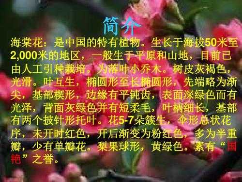 关于花的科技知识（关于花的科普）-图3