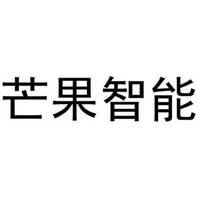 芒果科技知识产权（芒果科技有限责任公司）-图2