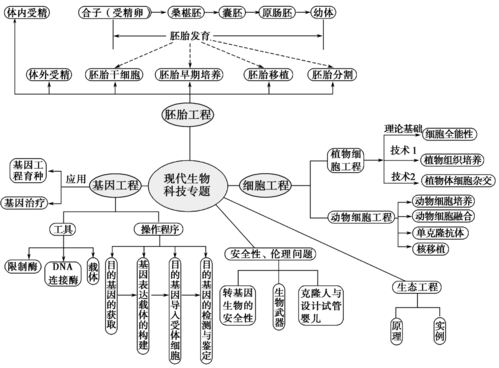 现代生物科技知识框架（现代生物科技知识框架设计）-图2