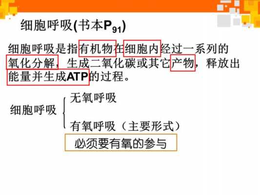 有氧呼吸科技知识点归纳（有氧呼吸微课视频）-图1