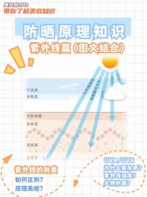 防晒面料科技知识大全（防晒面料科技知识大全视频）-图2