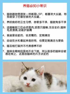 养猫必备科技知识大全图（养猫必备科技知识大全图解）-图3