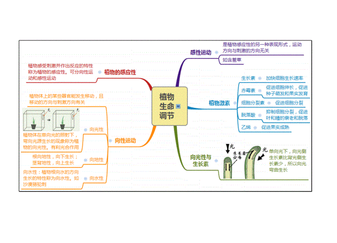 关于生命的科技知识点（关于生命科学的小话题）-图3