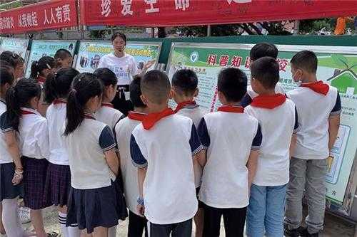 向小学生宣讲科技知识（小学科技宣传）-图3